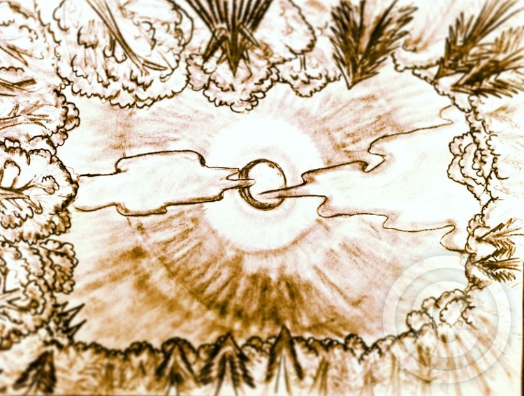 the middle of the forest