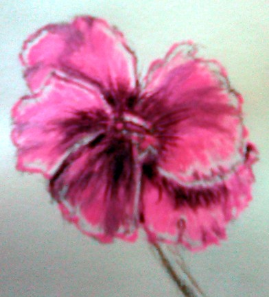 Pelargonium Painting