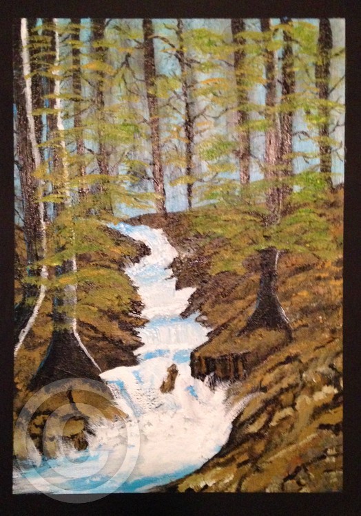 Stream in the Woods