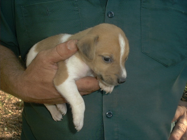 Safe in the Hands of my Master
