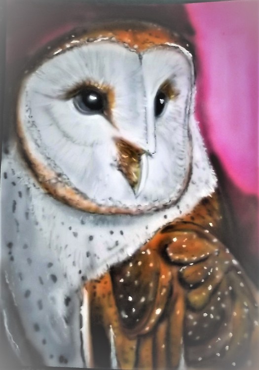 Owl  on A4  card (2)
