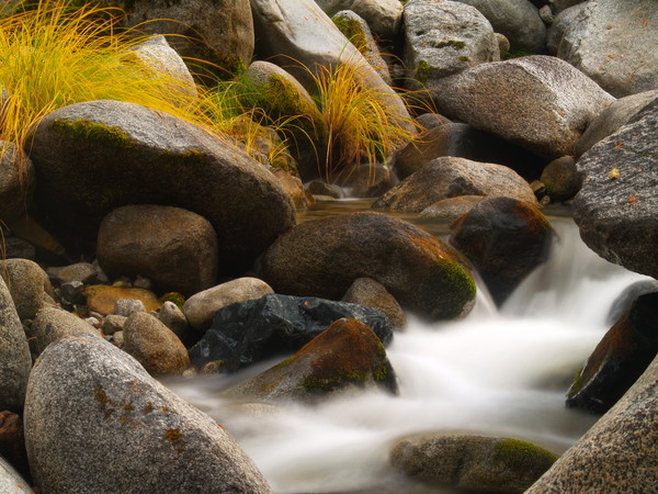 Brandy Creek Colors