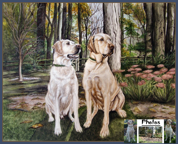 Hunter & Trapper Commission