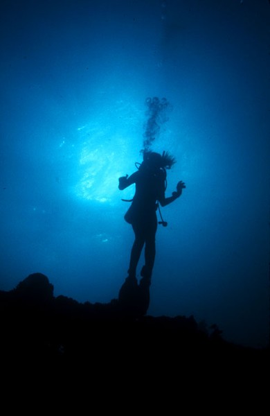 Silhouette
