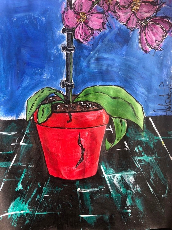 Orchid