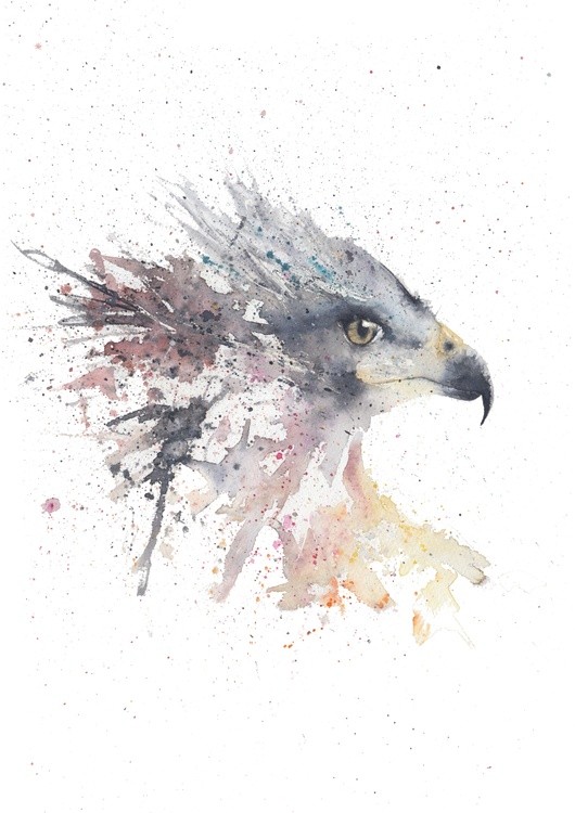 Eagle