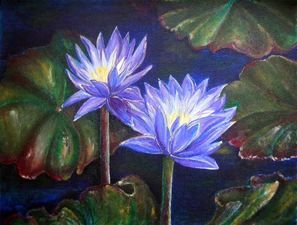 Lily pond magic - Blooming in Love
