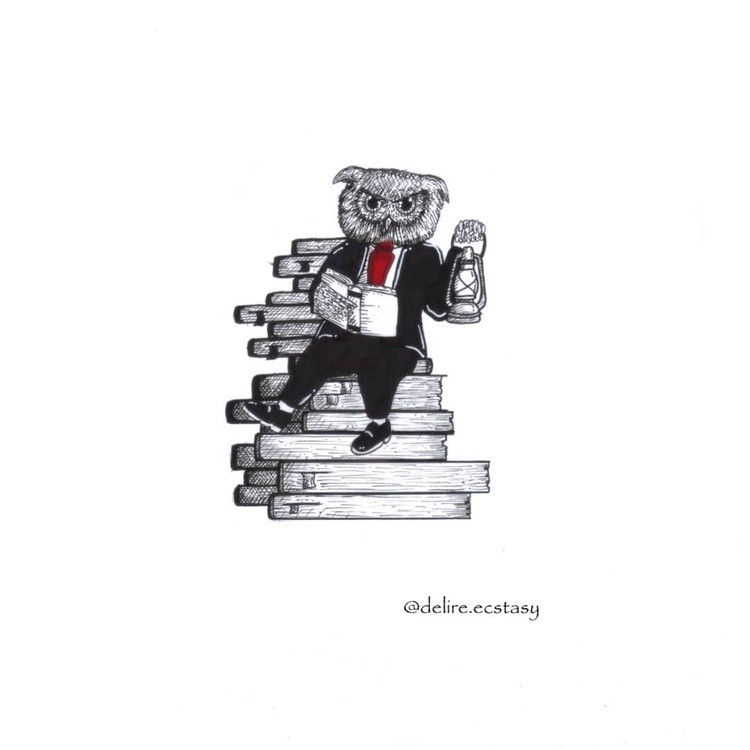 Books to the ceiling books to the sky 