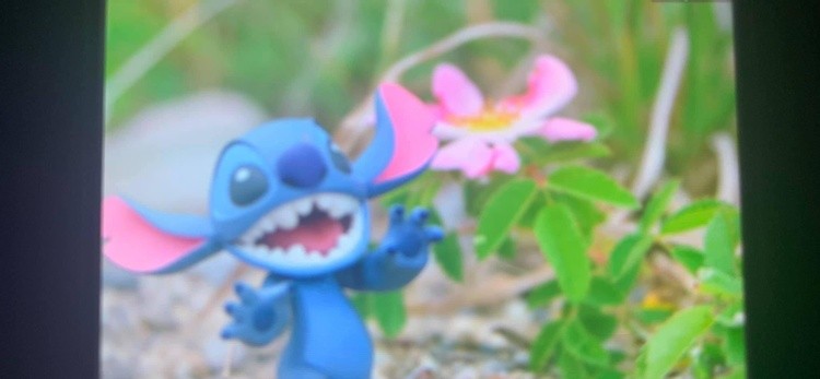 Stitch and flower