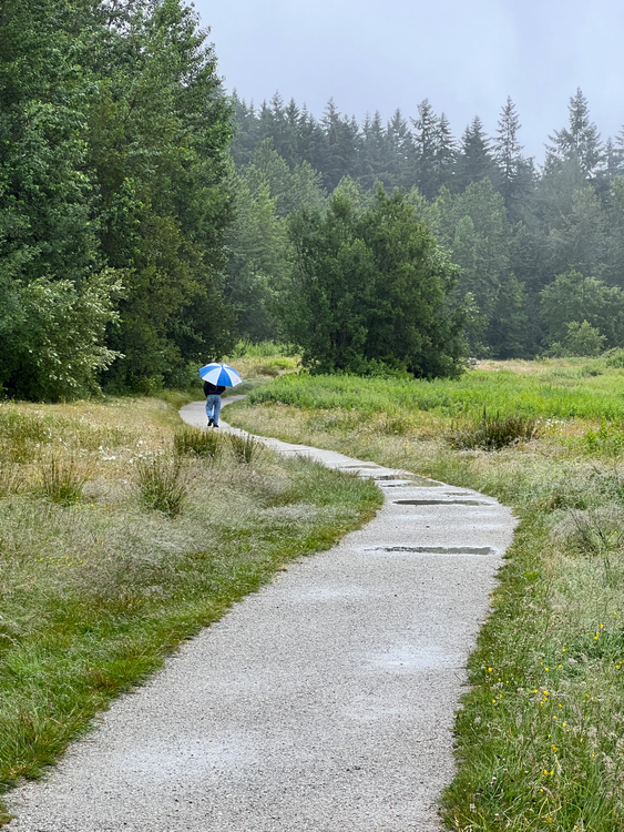 Solitude on a raining morning