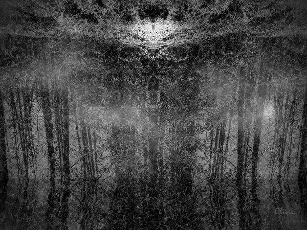 Baptism Of Winter