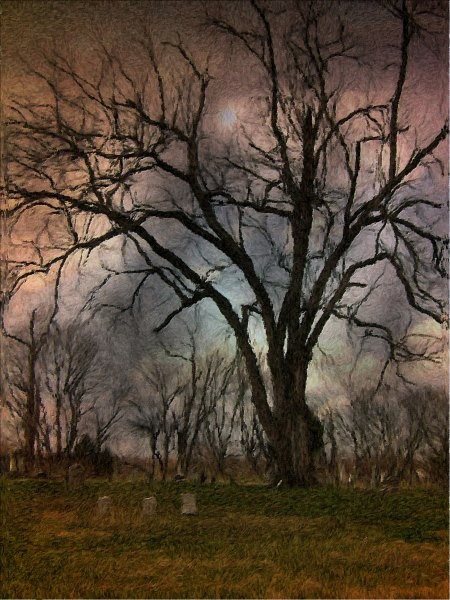 Winter's Last Sigh