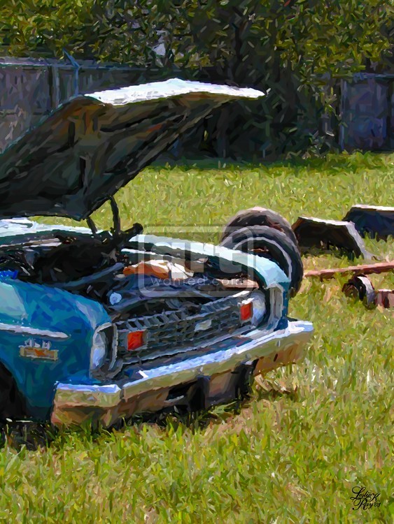 Blue Junk Car 3