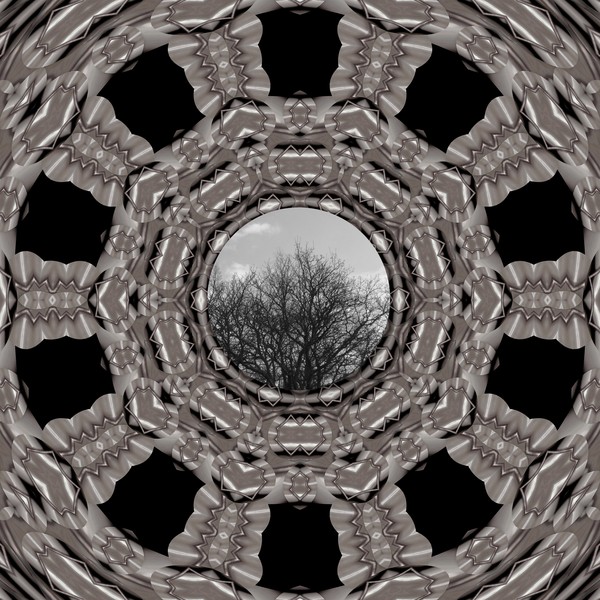 Silver ornamental earth digitalpainting