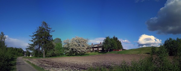 One spring day in Trondheim