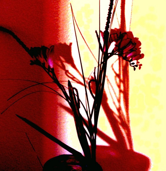 Still Life 4