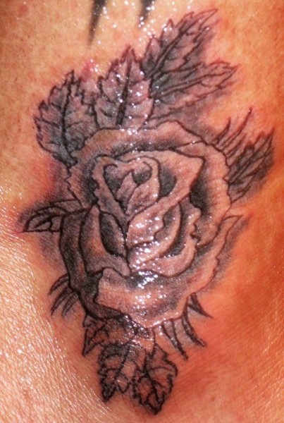 Rose Tattoo