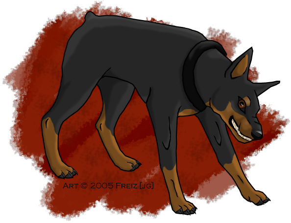 Doberman Pinscher