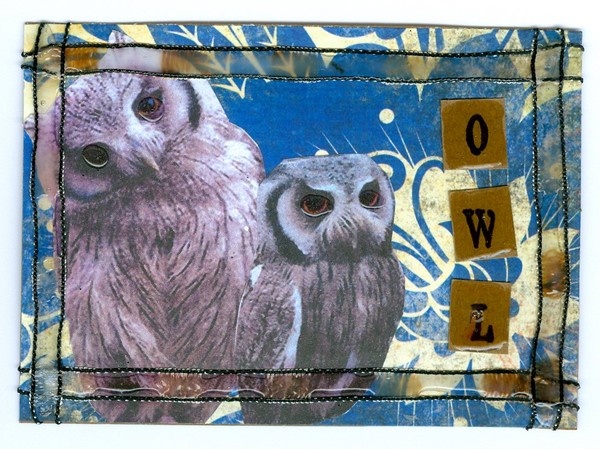 Owl