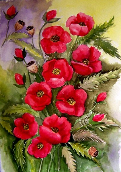 Red Poppies