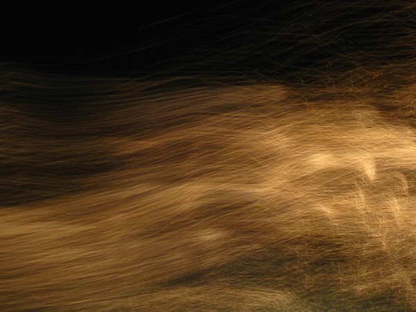 Gold Wind