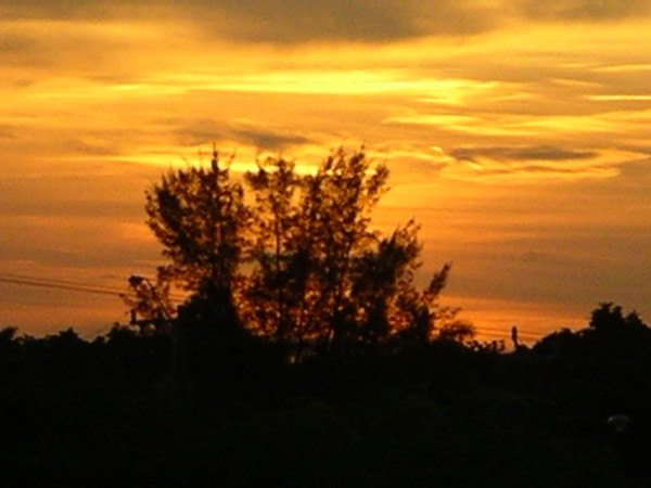 Near sunset