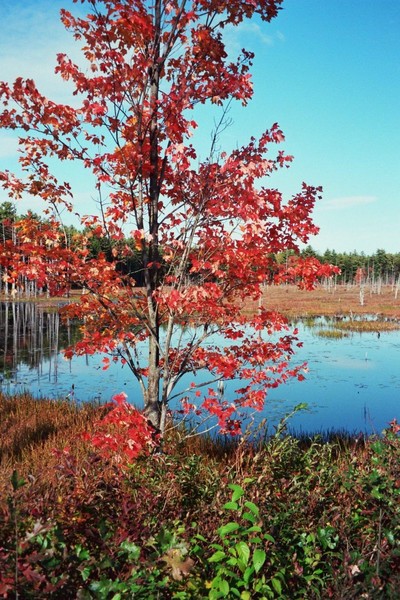 Reaches of Blue To Red