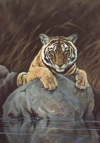 Bengal