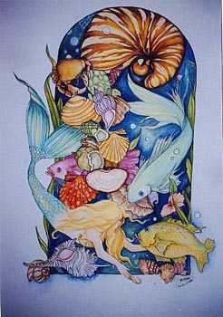 Nautilus Window