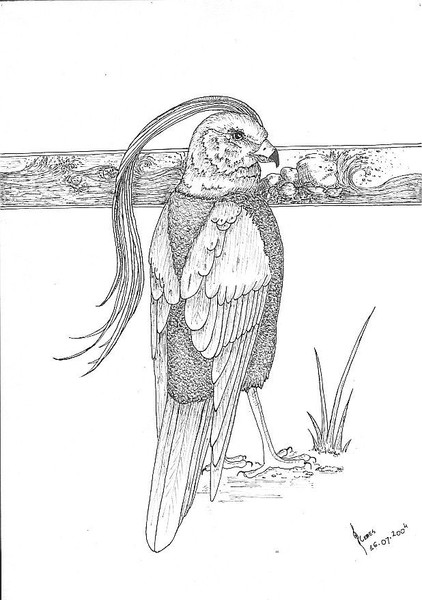 Bird of West