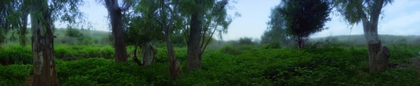 Dalia river  - a panorama view