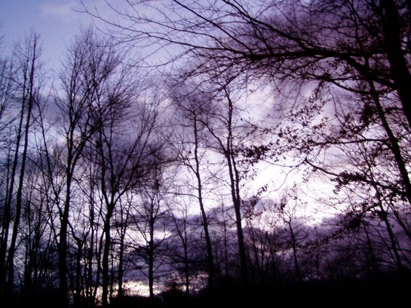 grey skies