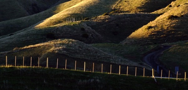 The Fence