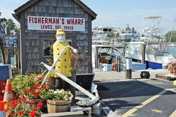 Fisherman's Wharf