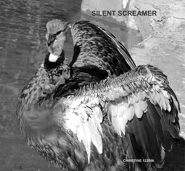 SILENT SCREAMER