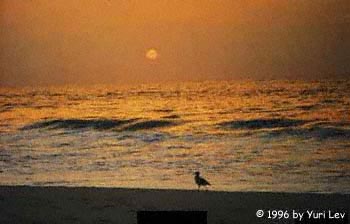 Sunrise at Long Beach Island