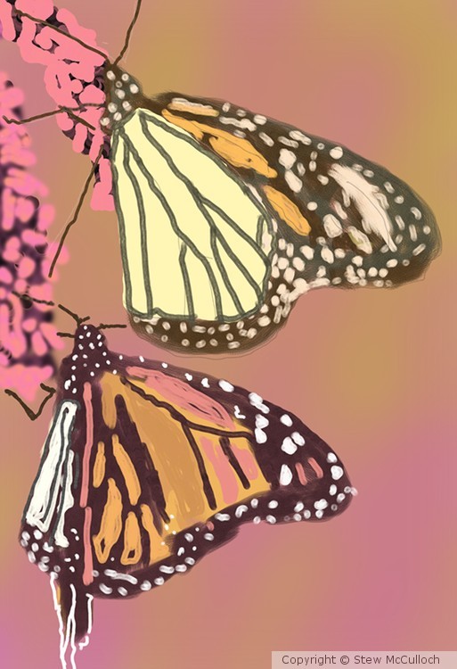 Monarchs  P209
