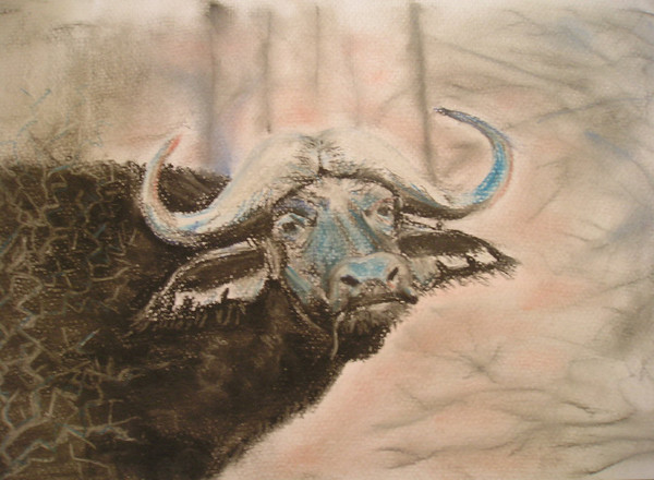 Buffalo Thorn Spirit