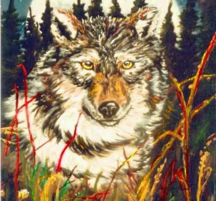 Wolf in the Grass