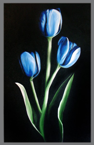 blue tulips