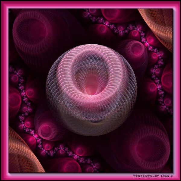 THE VENUS VORTEX