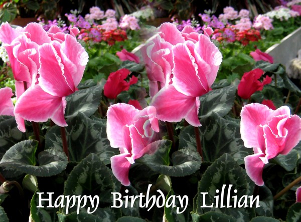 Happy Birthday Lillian