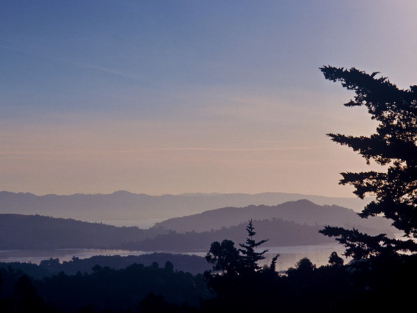 Mist over Mill Valley