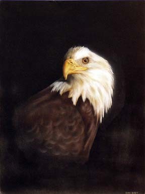 American Eagle