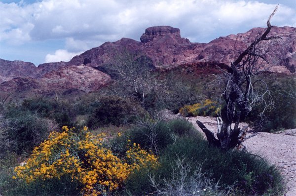 Castle Rock