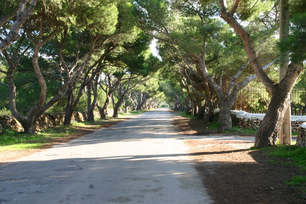 the long and winding road