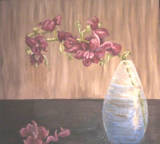 Orchids