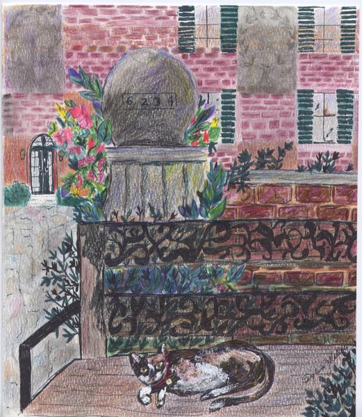 Calico
