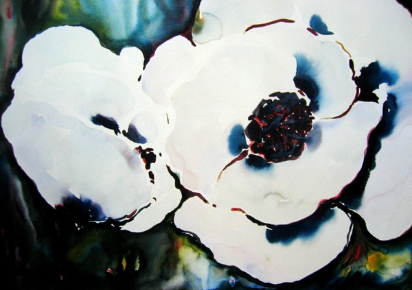 WHITE POPPIES