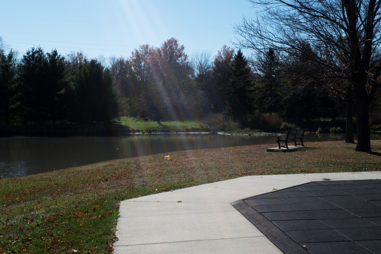 Sunlight in the Park